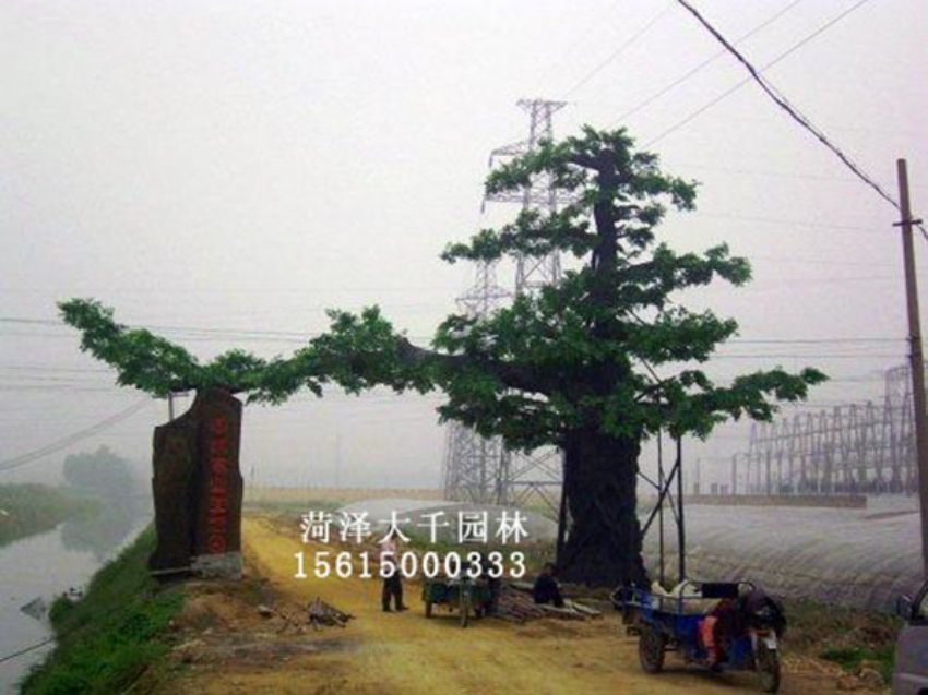 點擊查看詳細信息<br>標題：假樹 閱讀次數(shù)：1369