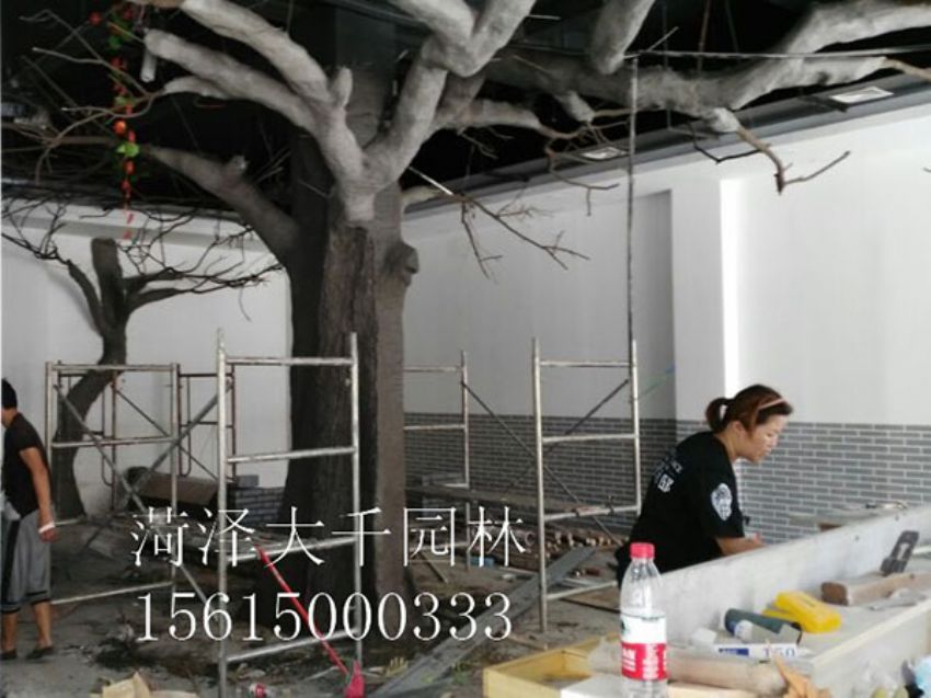 點(diǎn)擊查看詳細(xì)信息<br>標(biāo)題：假樹(shù) 閱讀次數(shù)：1391