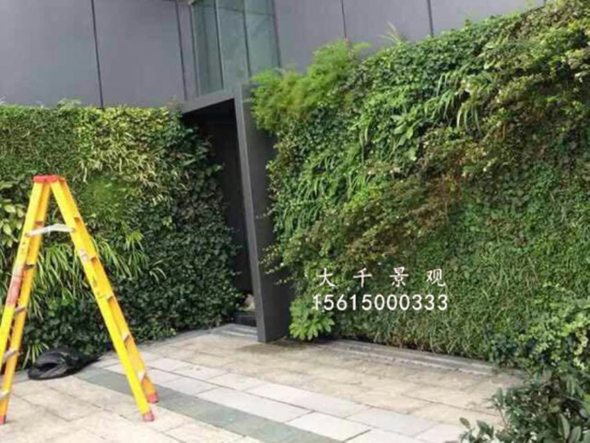 點擊查看詳細信息<br>標題：綠植墻 閱讀次數：1549