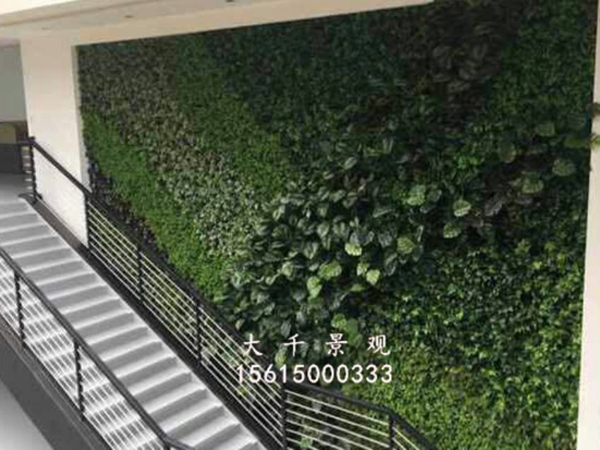 點擊查看詳細信息<br>標題：綠植墻 閱讀次數：1703