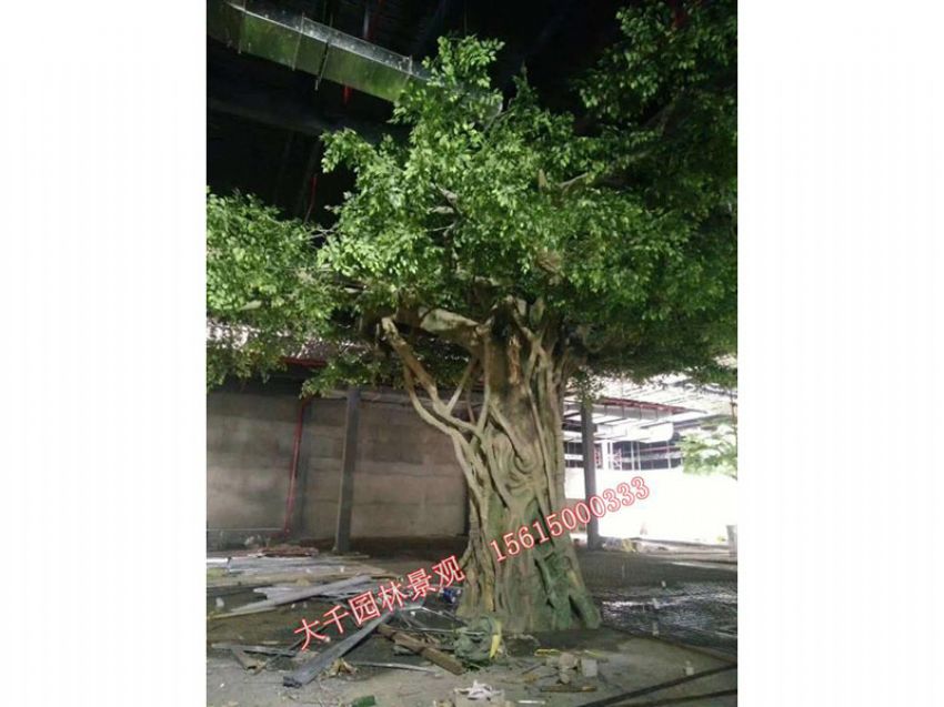 點(diǎn)擊查看詳細(xì)信息<br>標(biāo)題：假樹 閱讀次數(shù)：2510